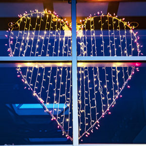 Show Us Your Heart Show Us Your Heart