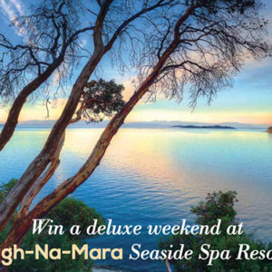 Holiday Contest Holiday Contest