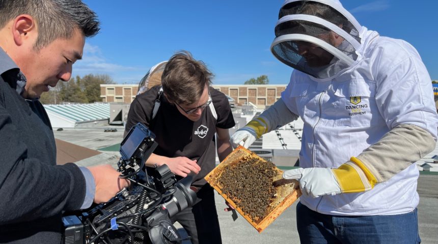 Hillside Honeybee Event 2024