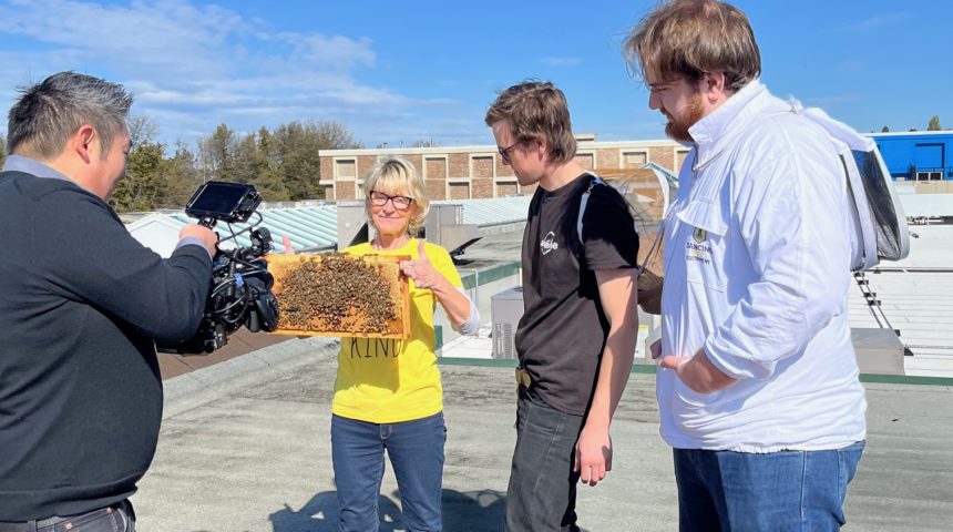 Hillside Honeybee Event 2024