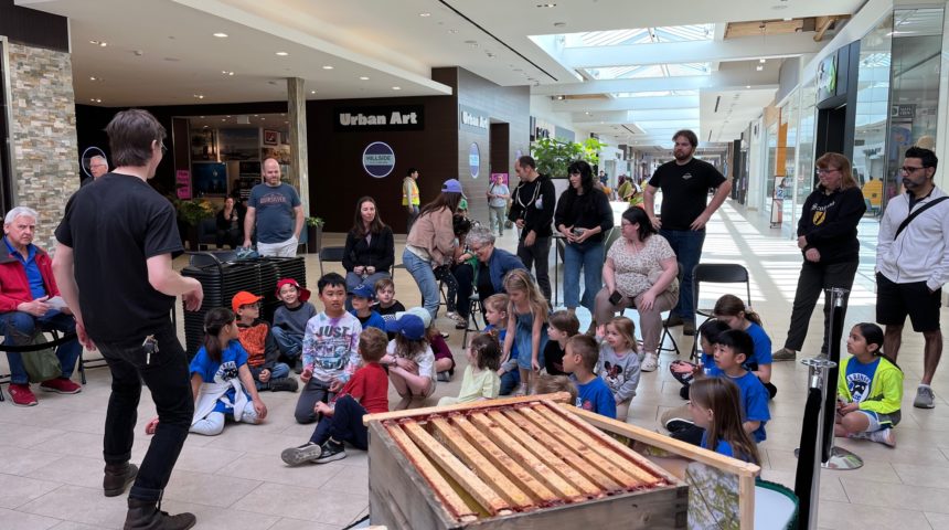 Hillside Honeybee Event 2024