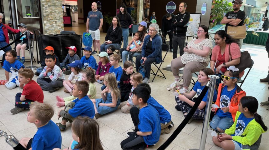 Hillside Honeybee Event 2024