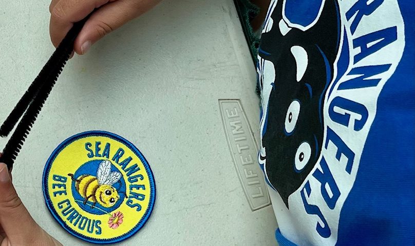 Hillside Honeybee Event 2024