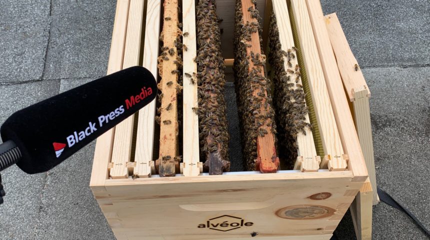 Checking our their new home