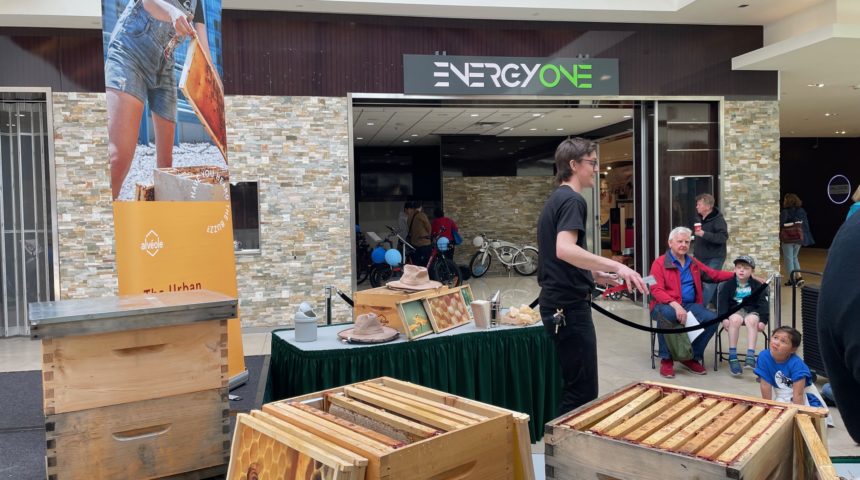 Hillside Honeybee Event 2024