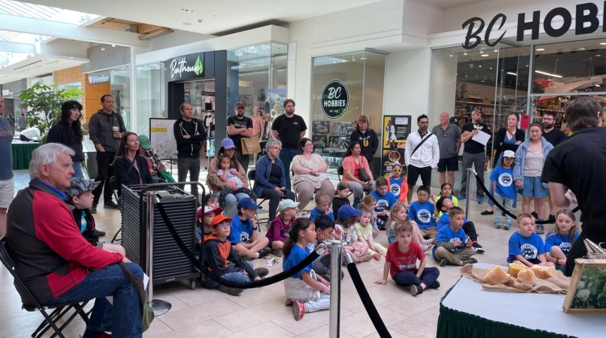 Hillside Honeybee Event 2024