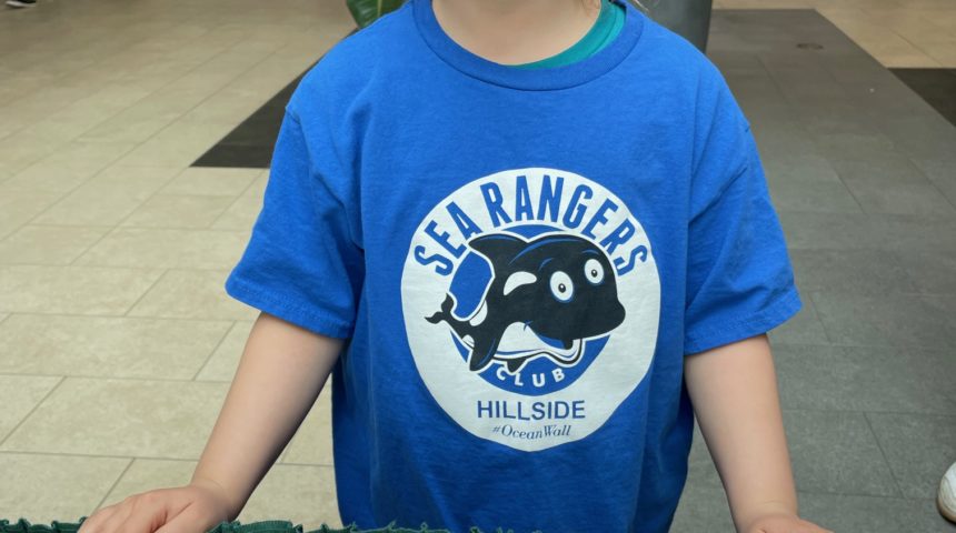 Hillside Honeybee Event 2024