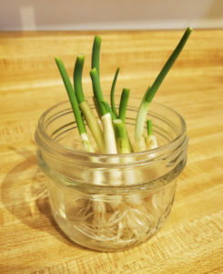 Repurpose Glass Jars