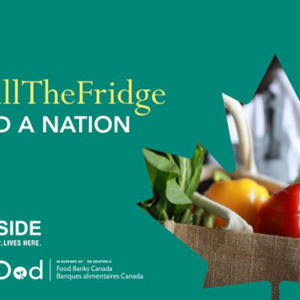 Fill the Fridge